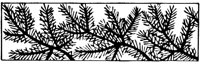 JPB060E.TIF