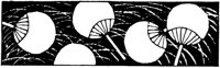 JPB058C.TIF