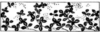 JPB056A.TIF