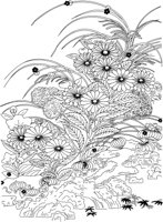 JPF047A.TIF