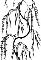 JPF030A.TIF
