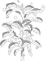 JPF029A.TIF