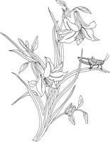 JPF006A.TIF
