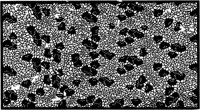 JFS084B.TIF