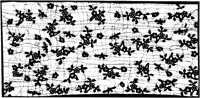 JFS069A.TIF