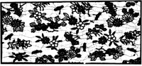 JFS056A.TIF