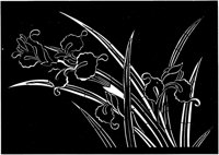JFS006A.TIF