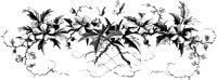 OFL011F.TIF