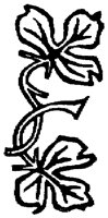 OFL010W.TIF