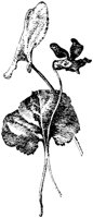 OFL008D.TIF