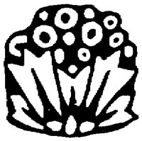 OFL007R.TIF
