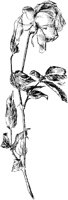 OFL006M.TIF