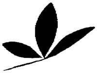 OFL006G.TIF