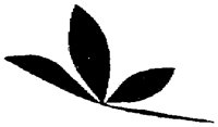OFL006F.TIF