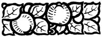 OFL006C.TIF