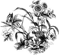 OFL005O.TIF