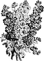 OFL005B.TIF