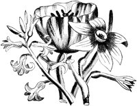 OFL004A.TIF