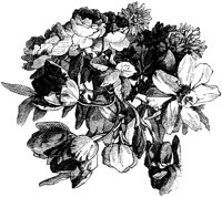 OFL003D.TIF