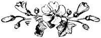 OFL002K.TIF