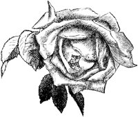OFL001K.TIF