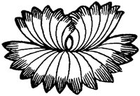 OFL021K.TIF