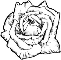 OFL021C.TIF