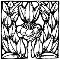 OFL021A.TIF