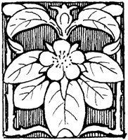 OFL020R.TIF