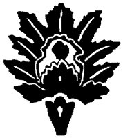 OFL020N.TIF