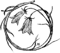 OFL019H.TIF