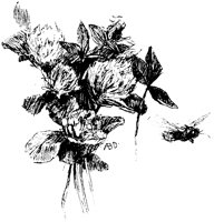 OFL019C.TIF