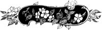 OFL019A.TIF