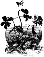 OFL018S.TIF