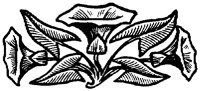 OFL018M.TIF