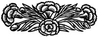 OFL018I.TIF