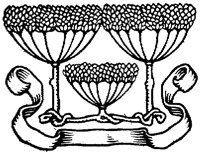 OFL018G.TIF