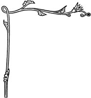 OFL018C.TIF