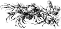 OFL016H.TIF