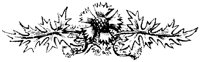 OFL016F.TIF