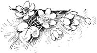 OFL016A.TIF