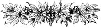 OFL015I.TIF