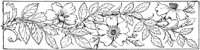 OFL015D.TIF