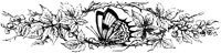 OFL015C.TIF