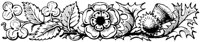 OFL014R.TIF