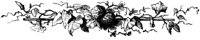 OFL014N.TIF