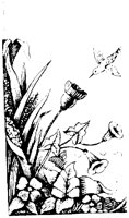 OFL013L.TIF