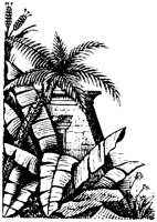 OFL013J.TIF
