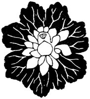 OFL013I.TIF