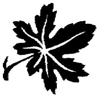 OFL013G.TIF